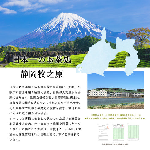 静岡茶 水出し専用深蒸し茶 5g×20p